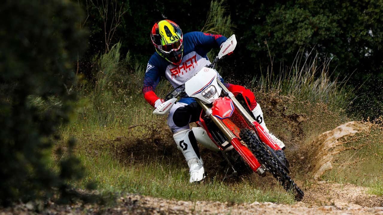 MOTO VERDE 481, contenidos y sumario de la revista