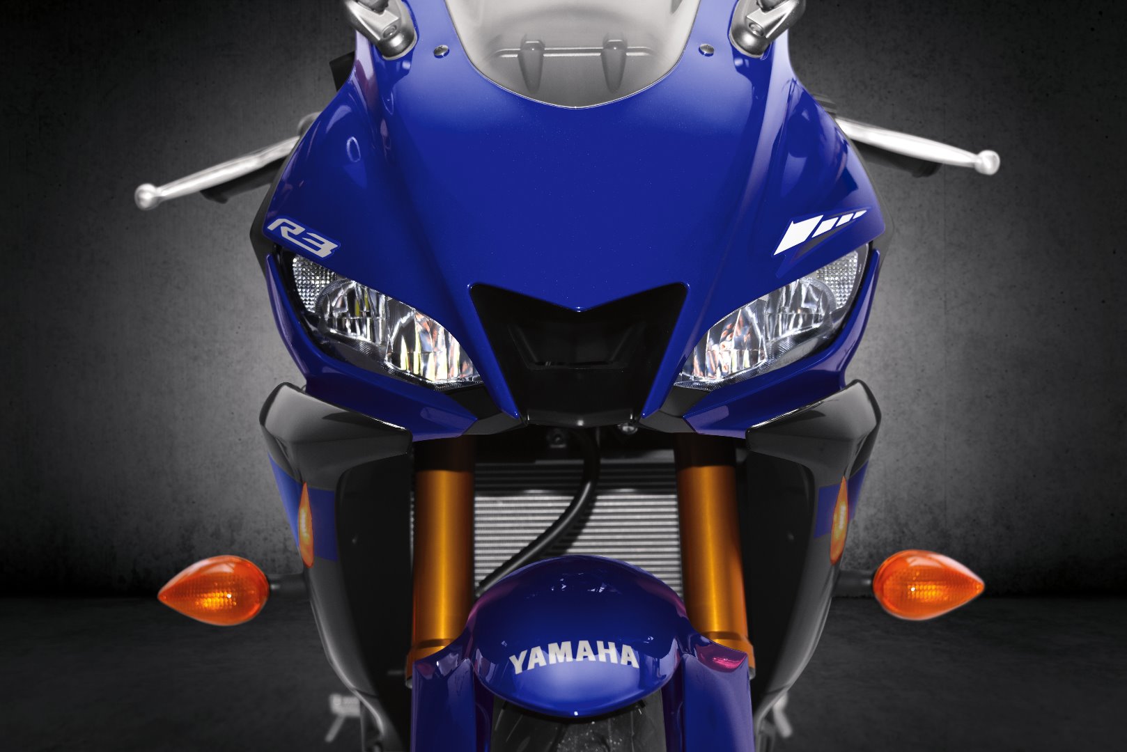 Yamaha YZF-R3 2019