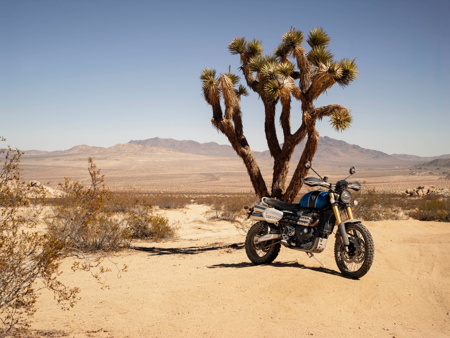 Triumph Scrambler 1200 XC & XE, Triumph hace de las Scramblers auténticas camperas