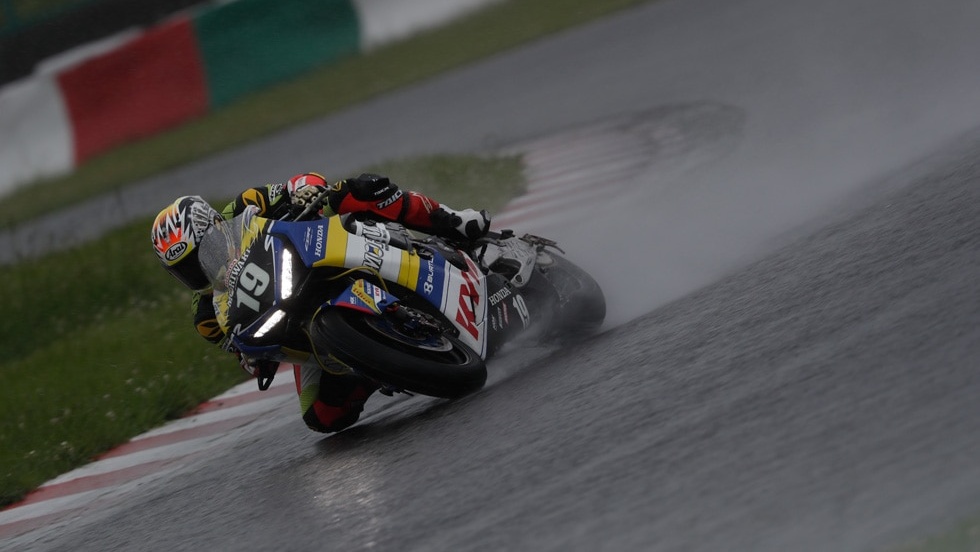 8 horas de Suzuka 2019, Japan Wars: tres favoritos y al menos diez aspirantes