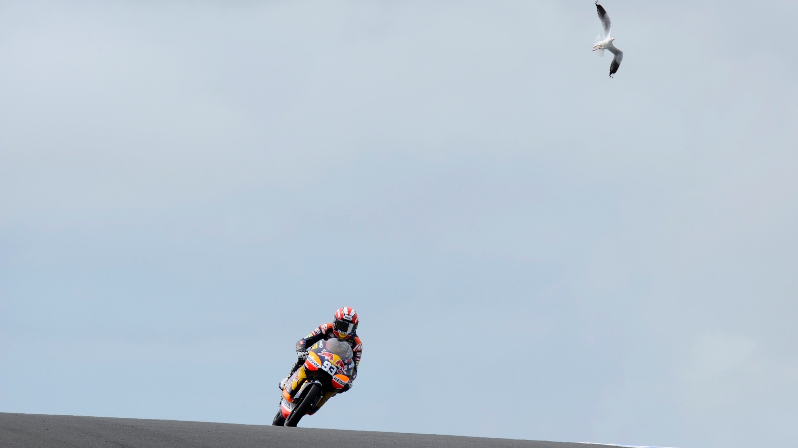 Los 12 trabajos de Marc Márquez en el final de MotoGP 2019