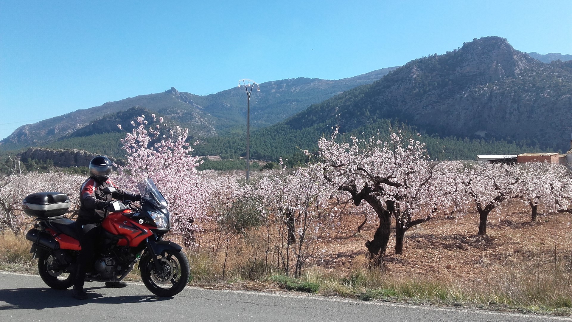 Objetivo 100.000 km: Suzuki V Strom 650