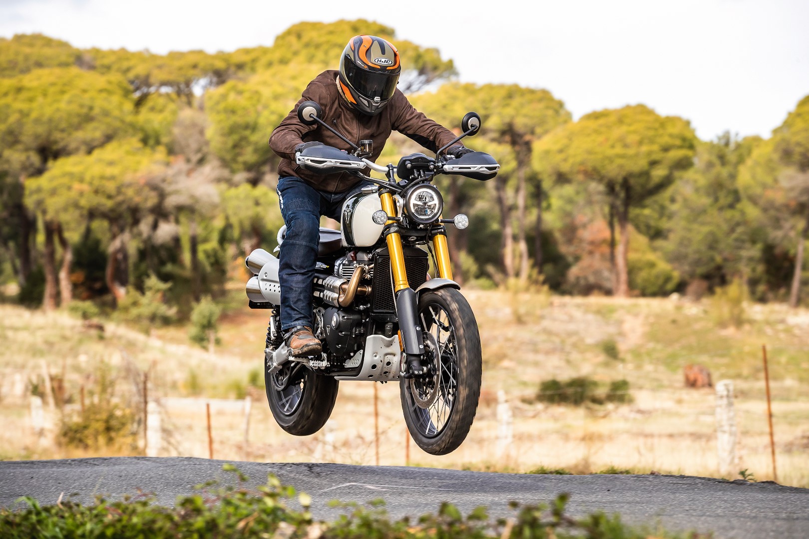 Nuestras favoritas 2019: BMW R 1250 GS, Honda CB650R, KTM 790 Adventure, Suzuki Katana, Triumph Scrambler 1200 XE, Yamaha Ténéré 700