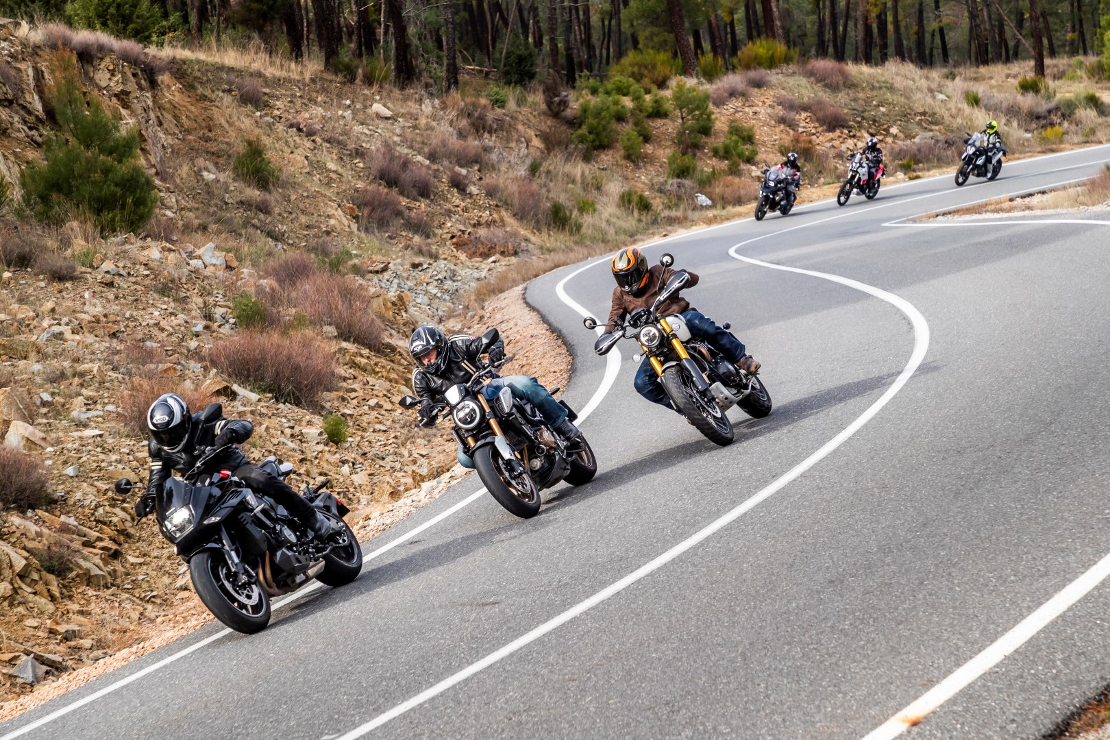 Nuestras favoritas 2019: BMW R 1250 GS, Honda CB650R, KTM 790 Adventure, Suzuki Katana, Triumph Scrambler 1200 XE, Yamaha Ténéré 700